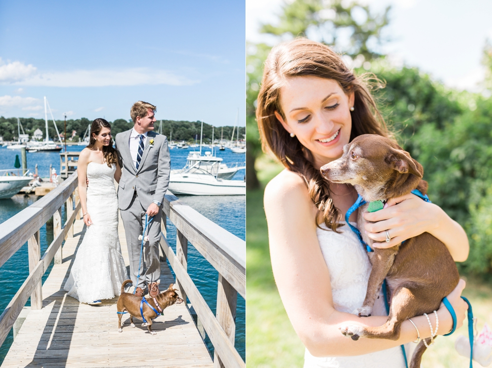 Weddings with dogs