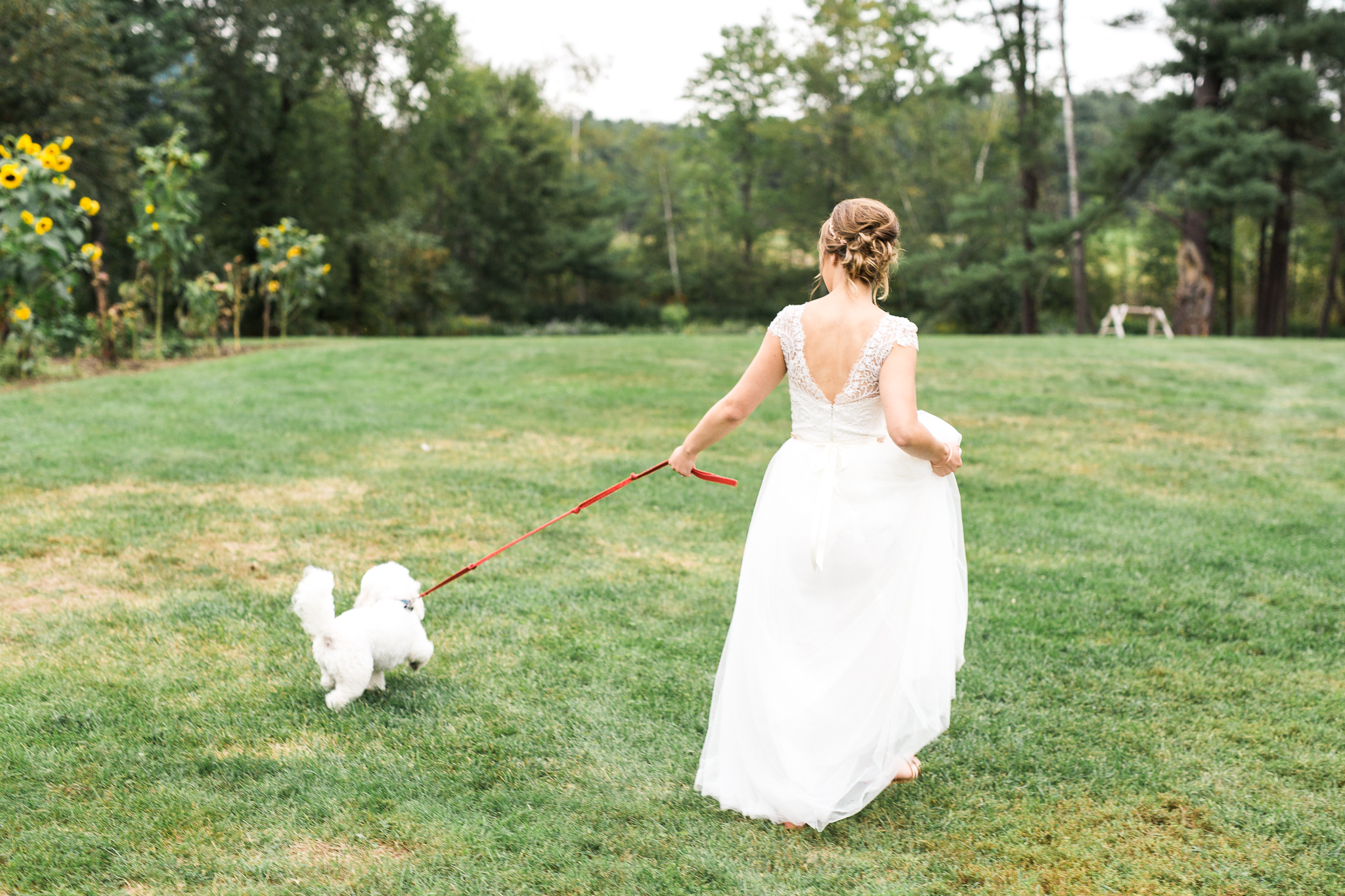 Wedding Photos with Dogs-3-2
